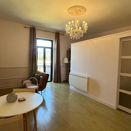 Art Deco Renove Avec Balcon Et Animaux Admis A - Fr-1-555-112 * エクスレバン